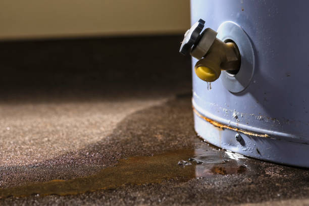 Best Professional water damage repair  in Los Lunas, NM