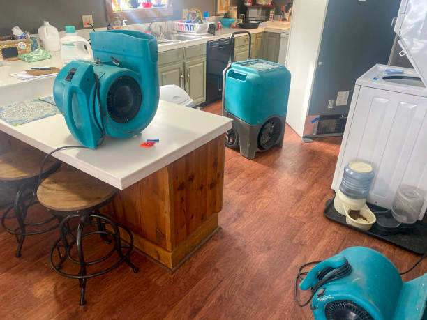 Best Water damage restoration cost  in Los Lunas, NM