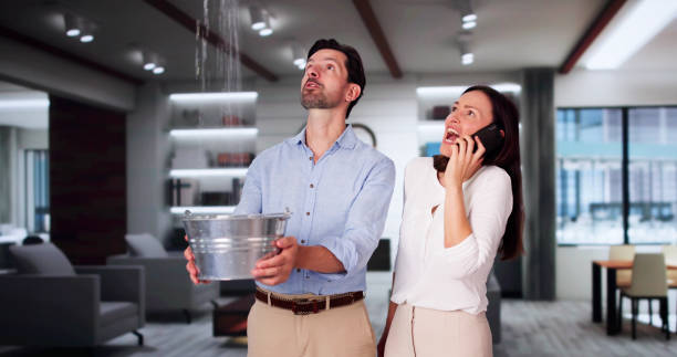 Best Water damage restoration near me  in Los Lunas, NM